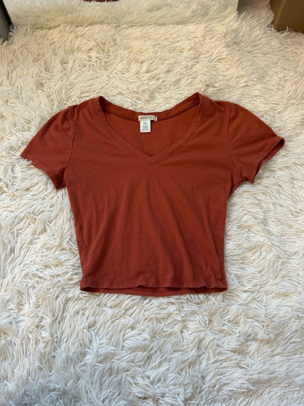 Orange Rust V-Neck Short Sleeve Crop Top